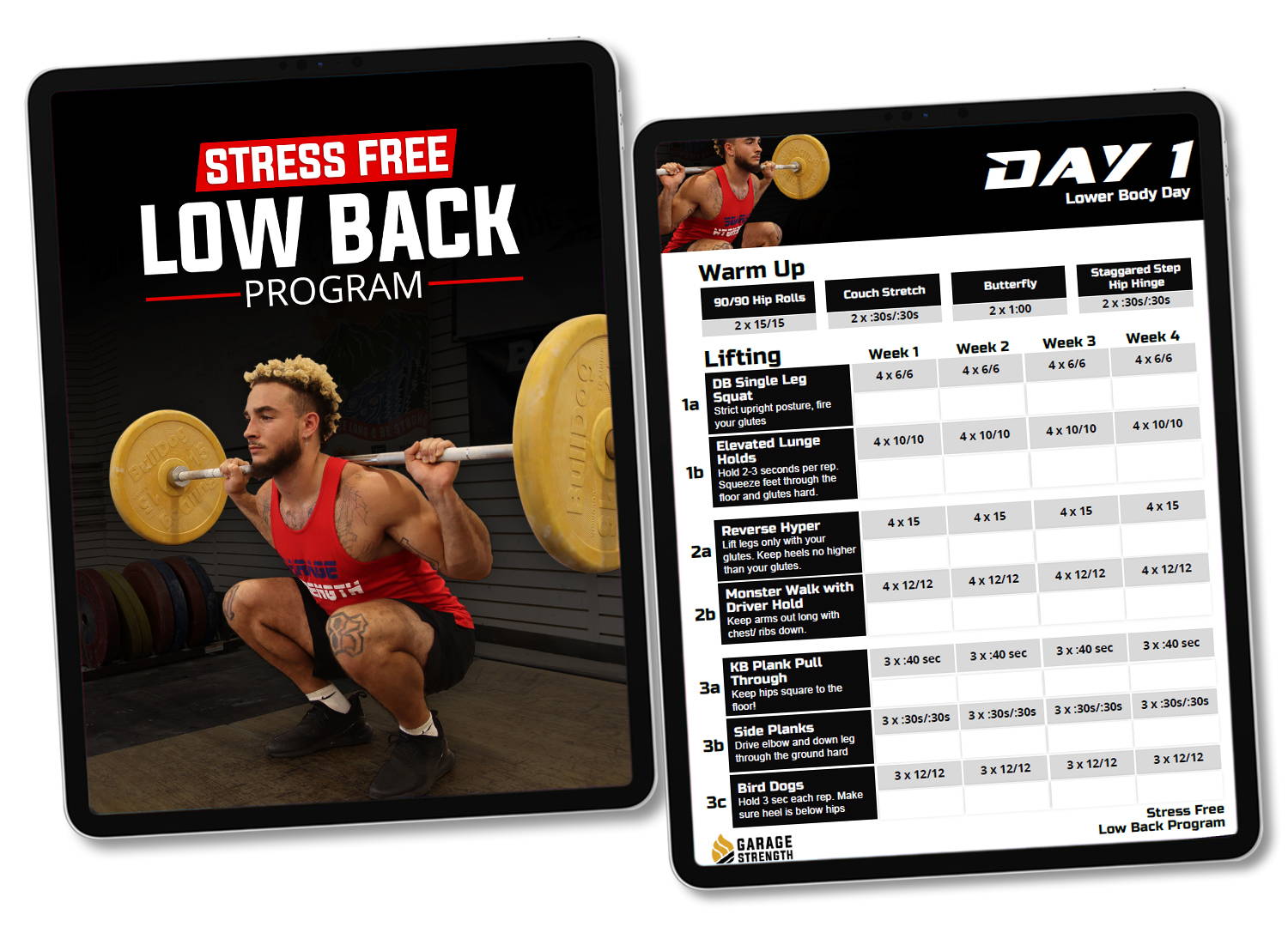 Free shelling crossfit programming